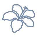 aqualoa.com domain