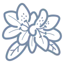 azaleea.com domain