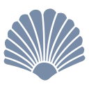 collectibleshells.com domain