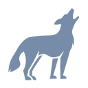 coyott.com domain