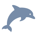 doolphin.com domain