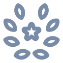 firsteys.com domain