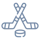 hockys.com domain