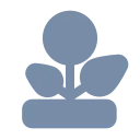 in04.com domain