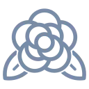 kameelia.com domain