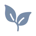 vegeys.com domain