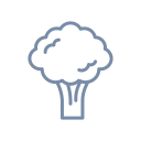 veggeys.com domain