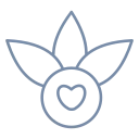 vitays.com domain