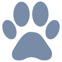 zoown.com domain