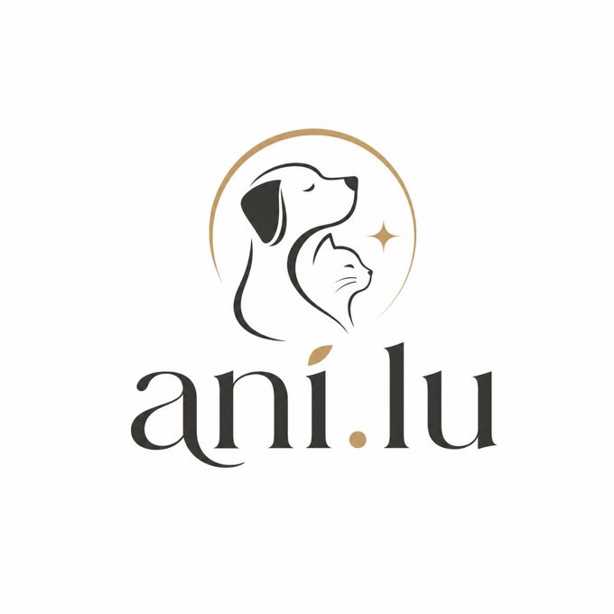 ani.lu logo